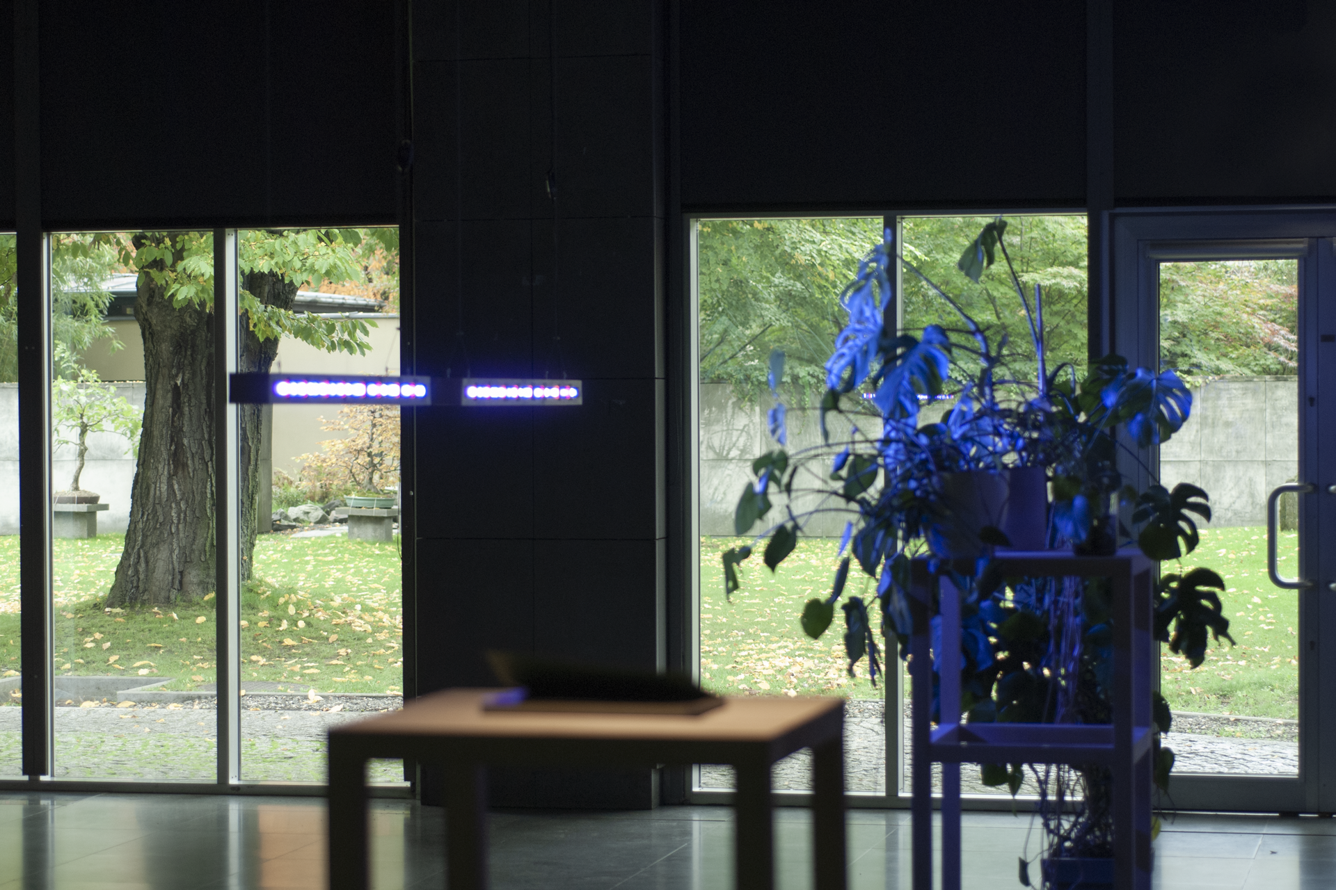 Abstrakttropik — instalacja / installation / 2022