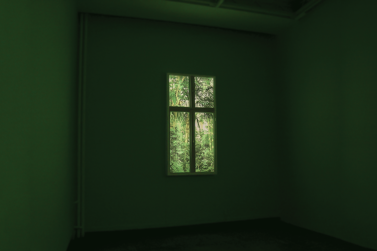 Okna na zimę / Windows for Winter / 2004